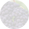 Cabernet Sauvignon