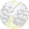 Carménère