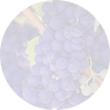 Merlot