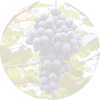 Syrah